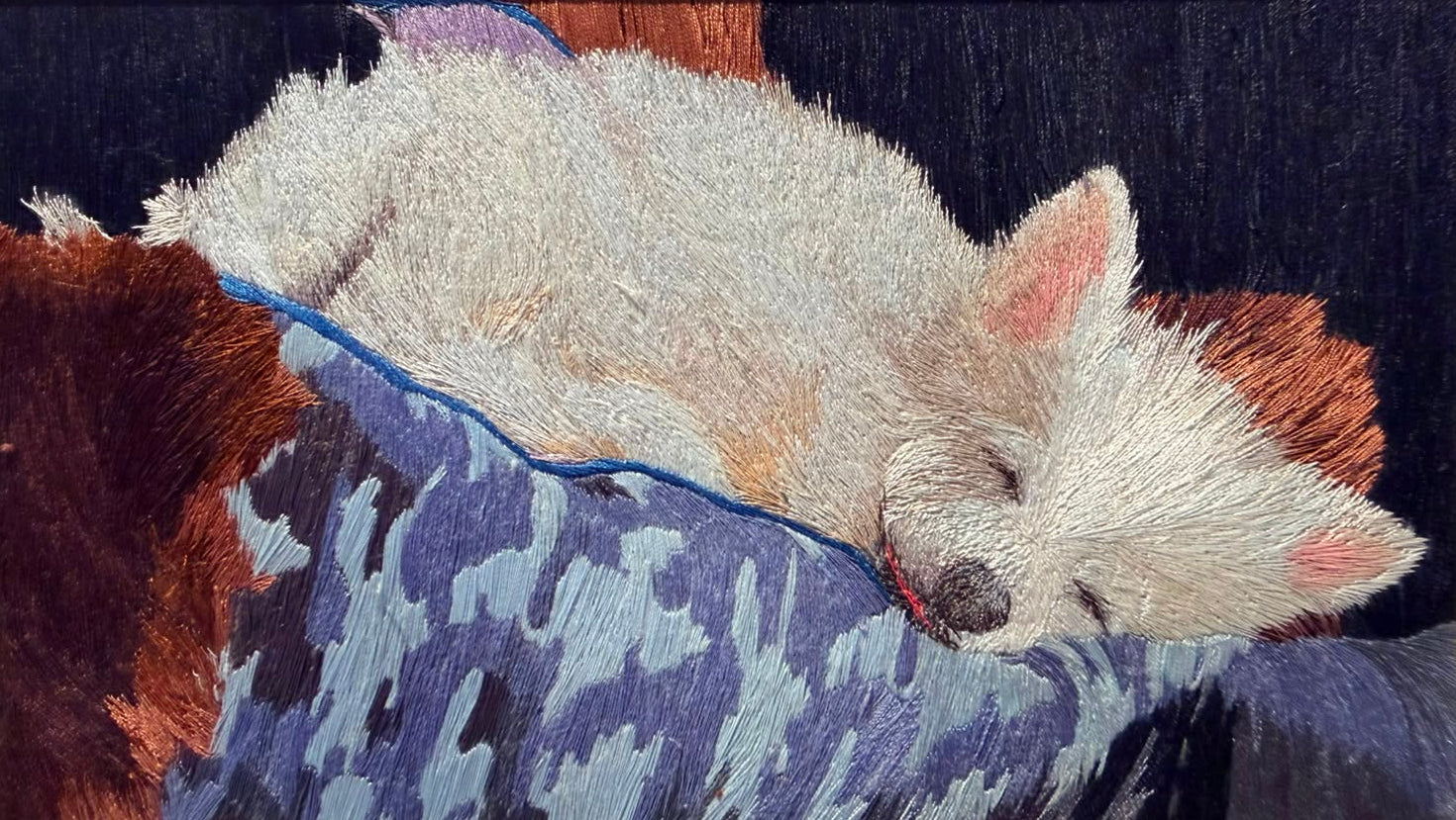 Dreaming
