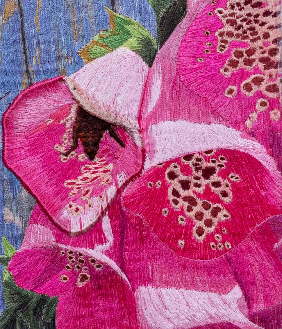 Flora and Fauna detail