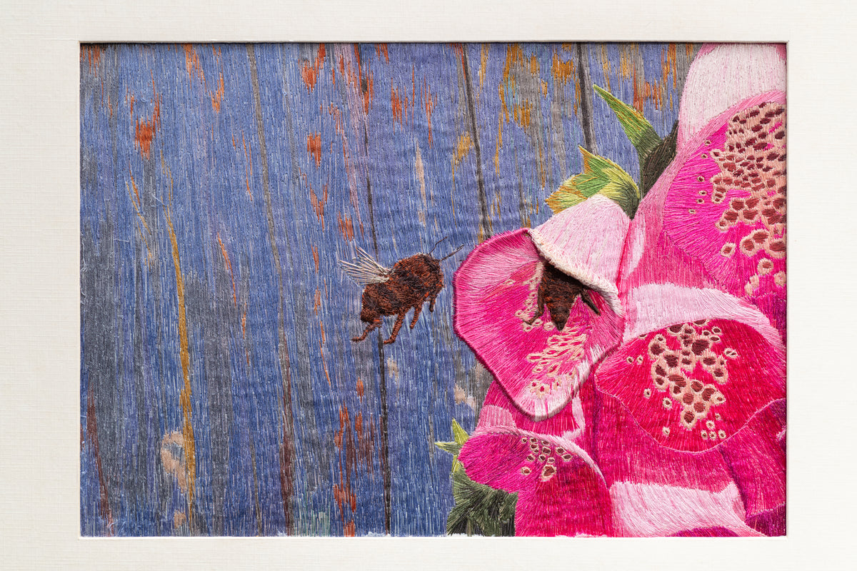 Flora & Fauna