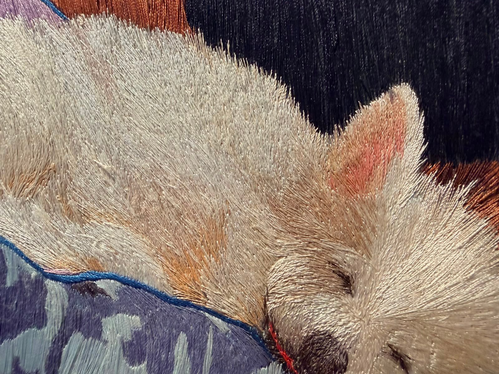 Dreaming