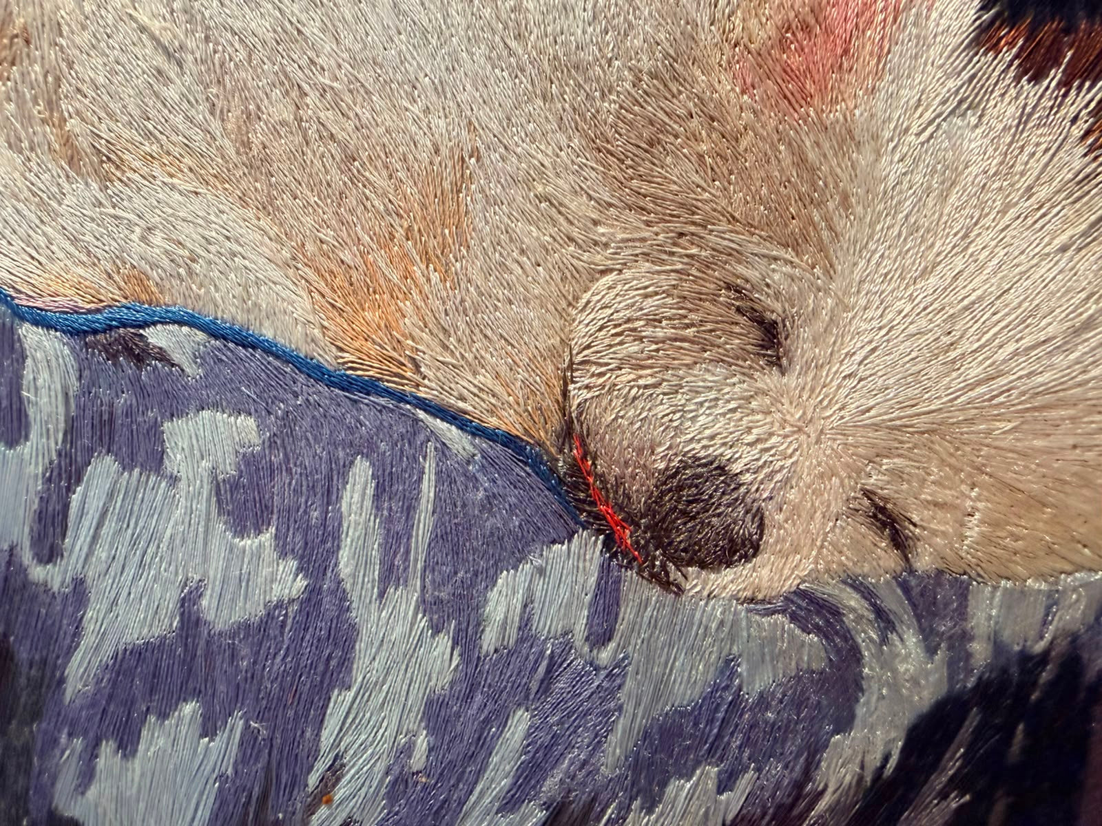 Dreaming