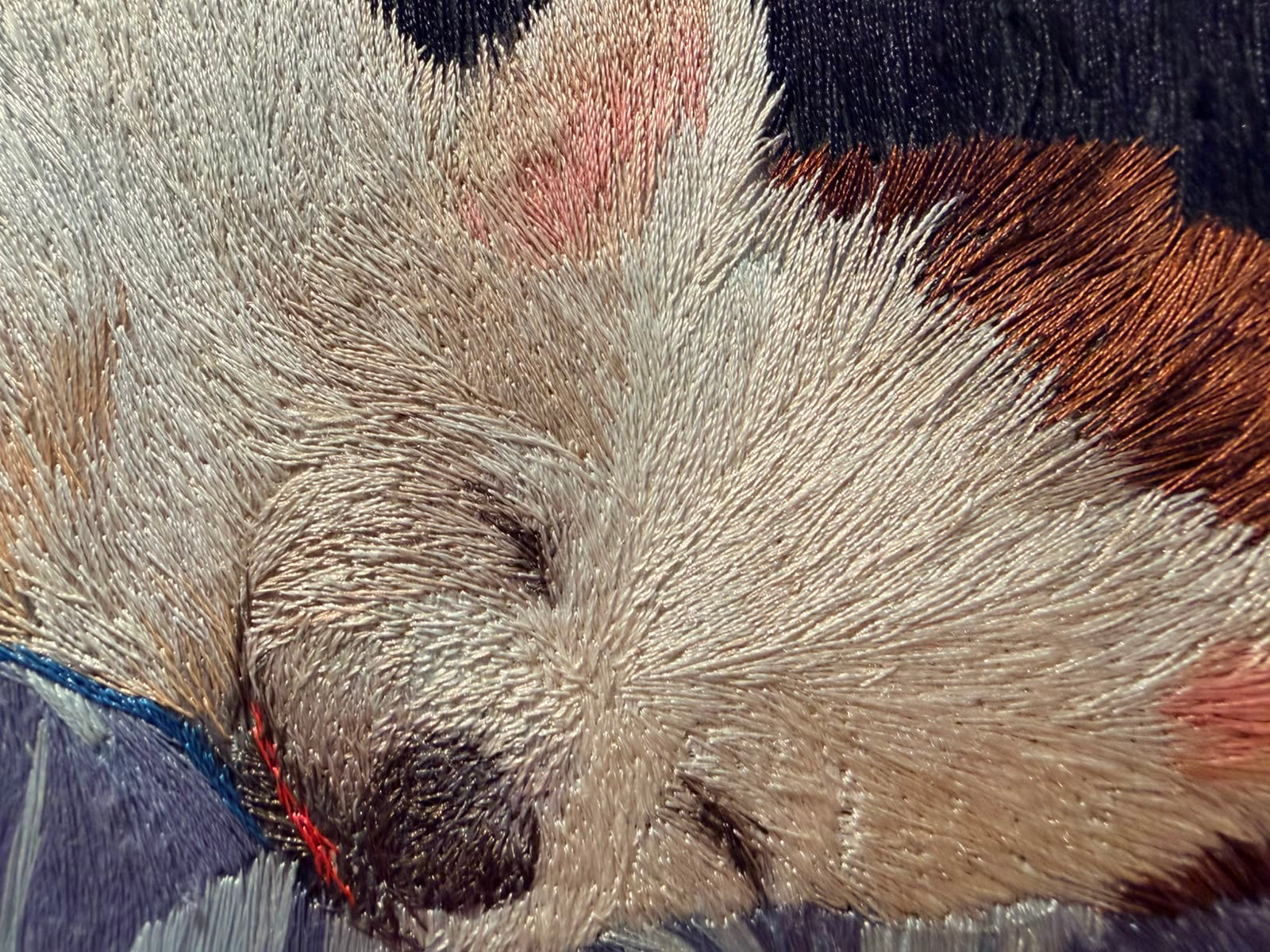 Dreaming