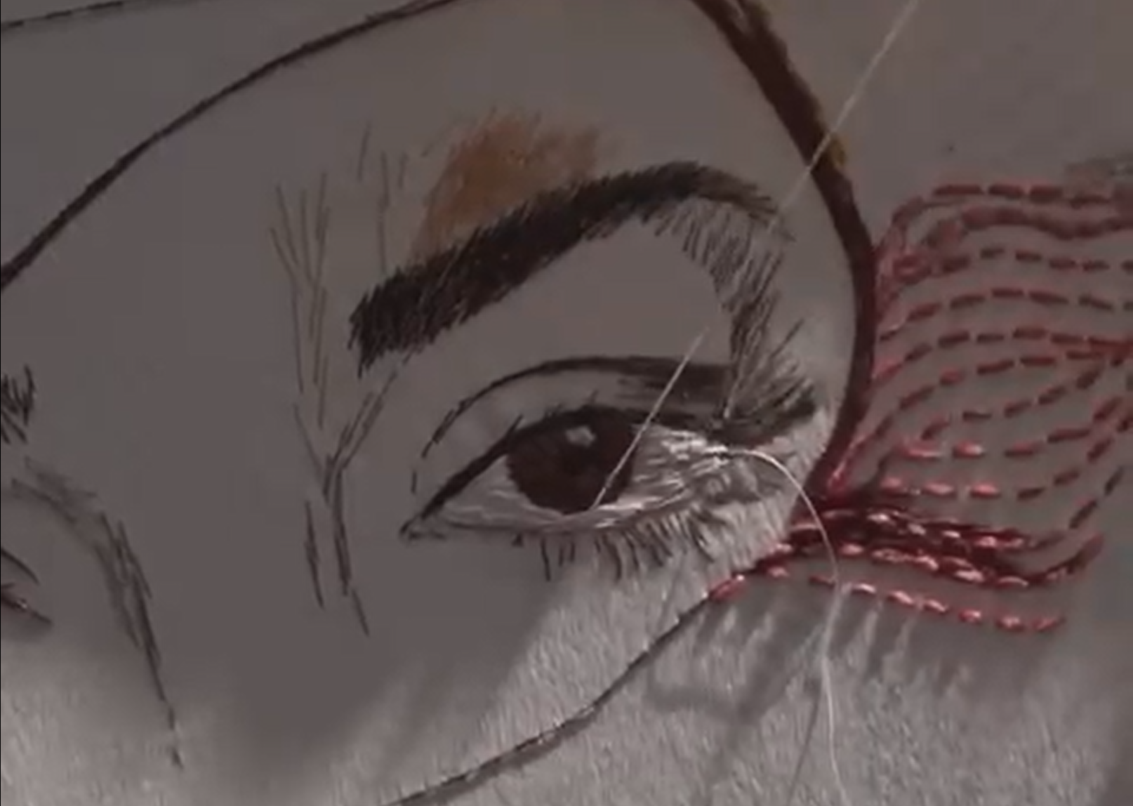 Detail of an eye being embroidered